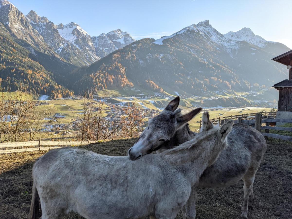Ferienwohnung Jedlerhof Neustift im Stubaital Exterior foto