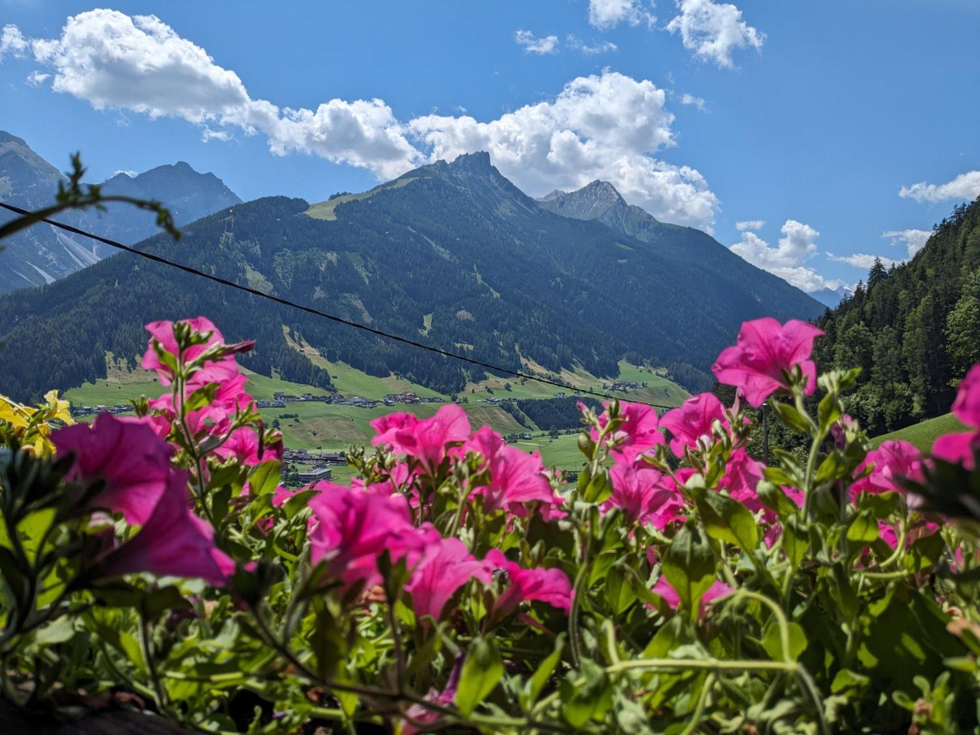 Ferienwohnung Jedlerhof Neustift im Stubaital Exterior foto